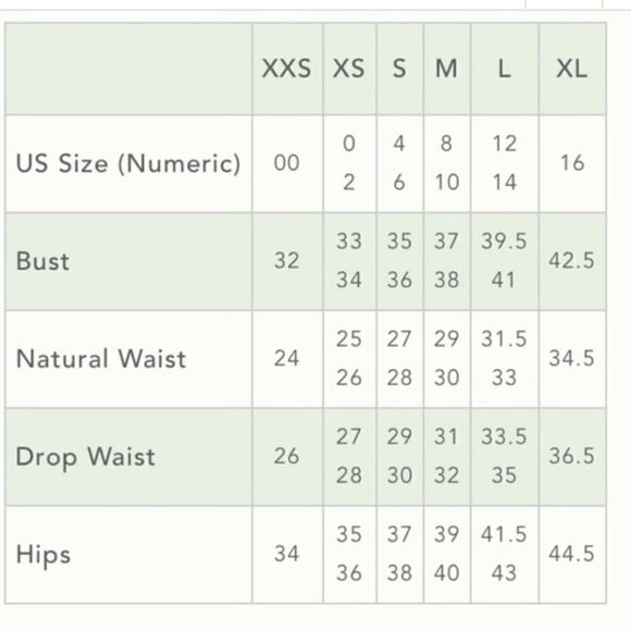 New Anthropologie Loren Appliqued Tulle Mini Dress
Geisha Designs - Picture 7 of 8